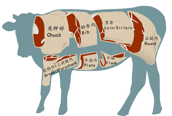高清透明PNG牛肉结构图片，动物装饰元素设计素材下载
