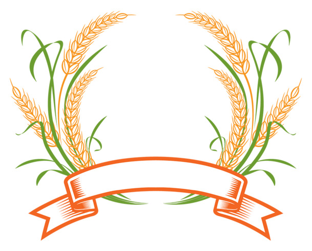 麦穗Logo高清PNG透明图，精美植物装饰元素，设计素材免费下载