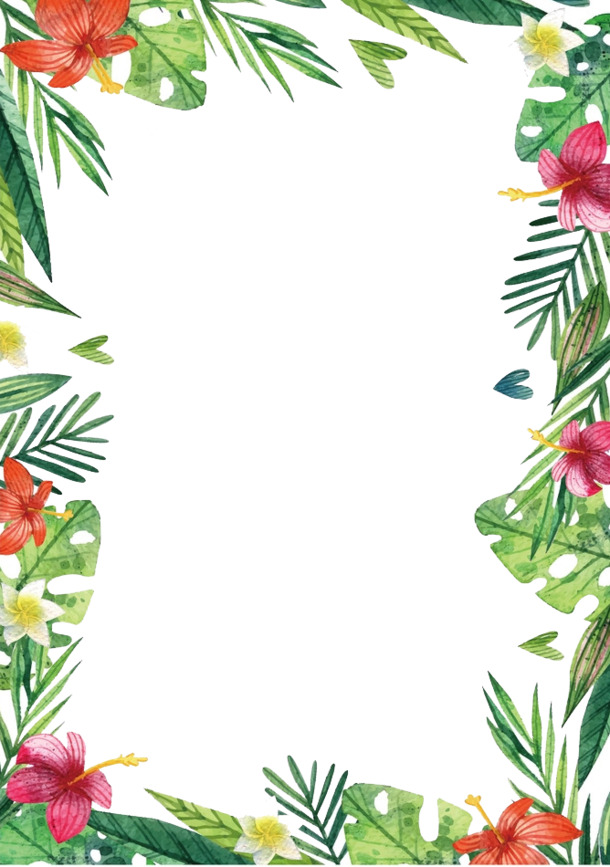 水彩花卉夏威夷PNG透明图，动植物元素设计素材高清下载