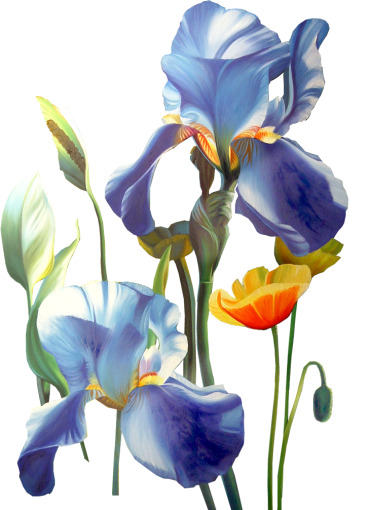 蓝色花骨朵PNG素材，高清透明花瓣漂浮元素，设计必备，免费下载