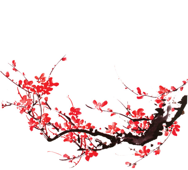 手绘古风梅花PNG透明图，高清装饰元素，植物图片设计素材下载