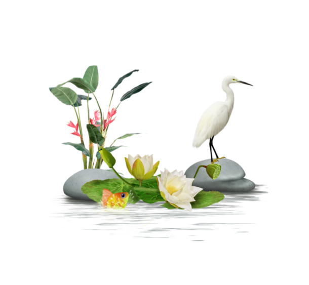 池塘荷花PNG透明图，高清动植物元素，植物设计素材下载