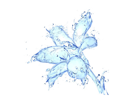 水绘花卉PNG透明图，手绘卡通元素，高清设计素材下载