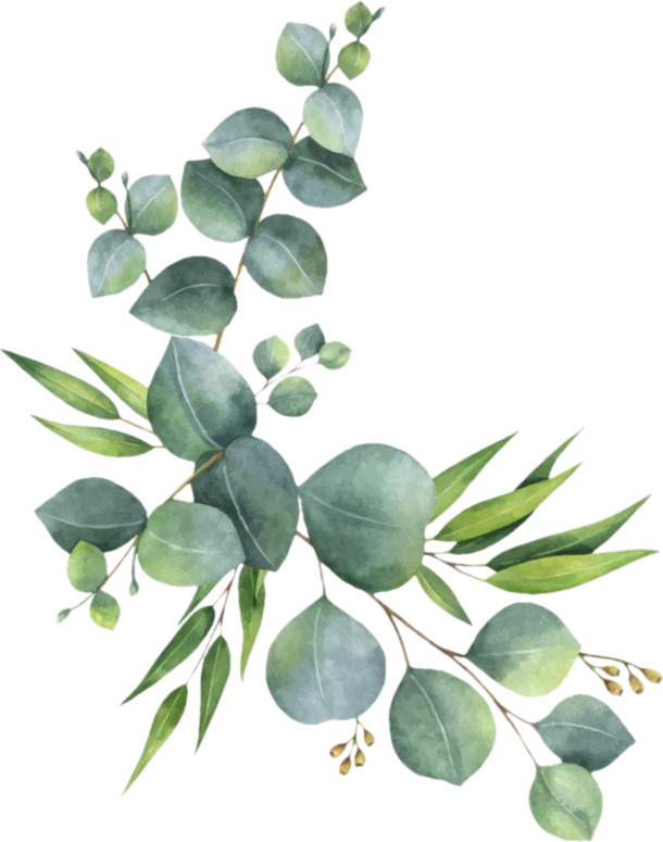 手绘水彩绿叶枝条插画，高清PNG透明动植物元素，设计素材免费下载