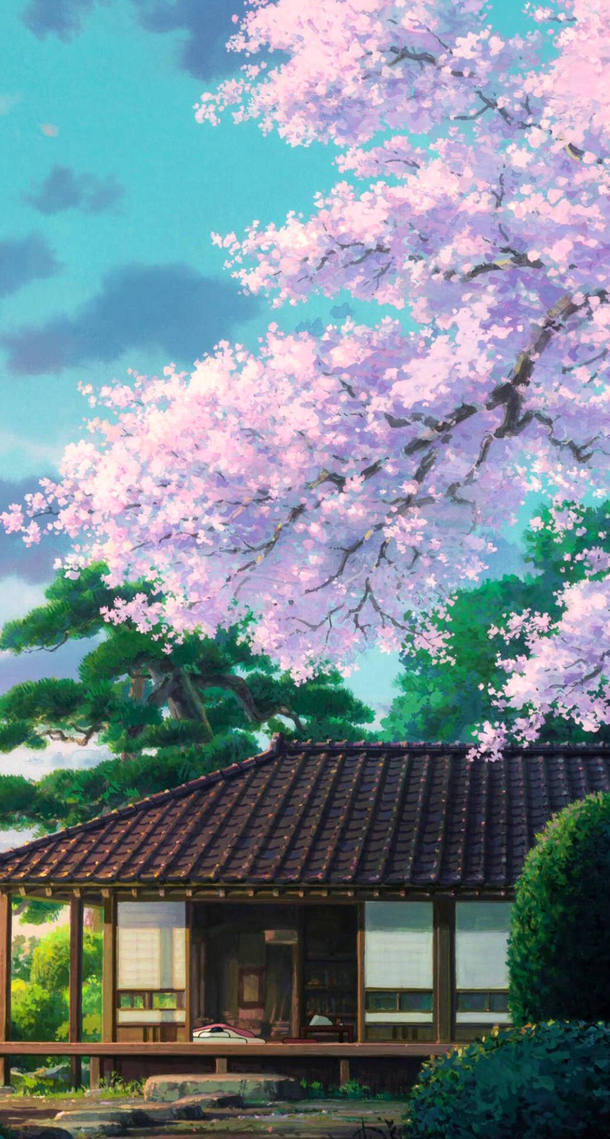 手绘紫色樱花插画，高清PNG透明背景，卡通手绘素材下载