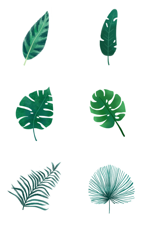 高清PNG绿色植物树叶插画，透明动植物元素，设计素材下载