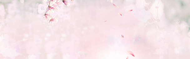 高清PNG透明背景女性内衣海报素材，创意Banner设计元素下载