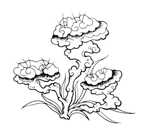 手绘灵芝PNG透明图，中国风装饰元素，高清素材免费下载
