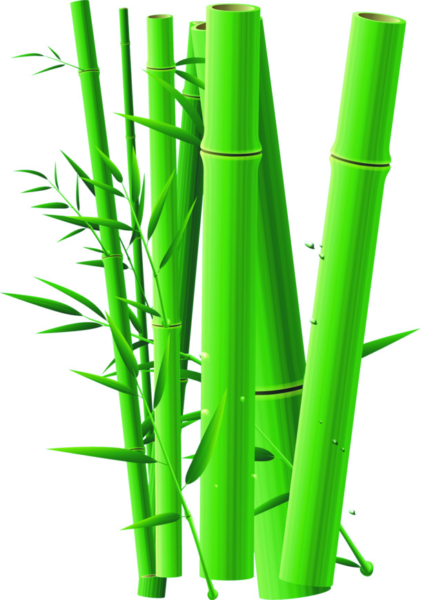 端午节卡通水珠竹筒PNG透明图片，高清节日元素设计素材下载
