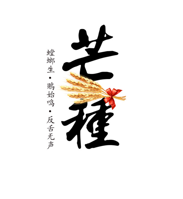 芒种艺术字体PNG透明免扣图片，高清设计素材，一键下载
