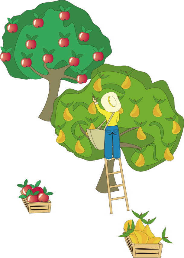 卡通果园手绘插画，高清PNG透明图片，含AI格式设计素材，免费下载