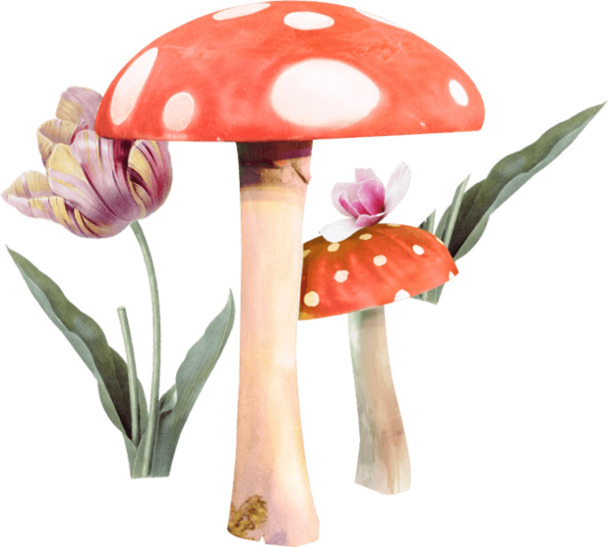 手绘蘑菇花朵PNG透明图，动植物元素设计素材高清下载
