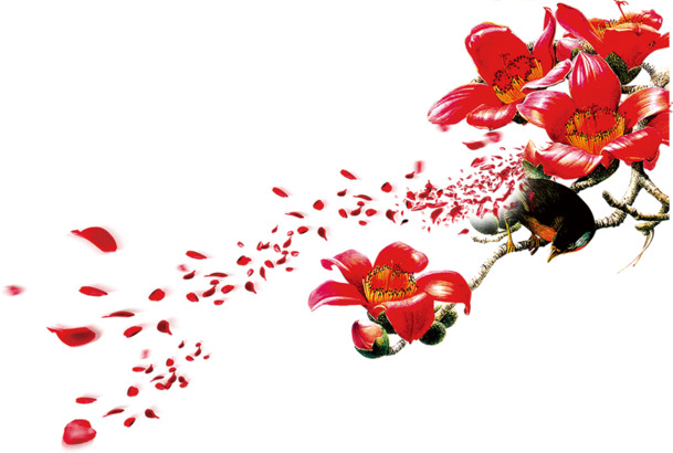 花卉素材下载，高清PNG透明图片，大红花瓣漂浮元素，淘宝设计必备