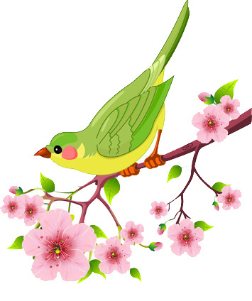 樱花树小鸟卡通PNG透明图，装饰植物素材高清下载