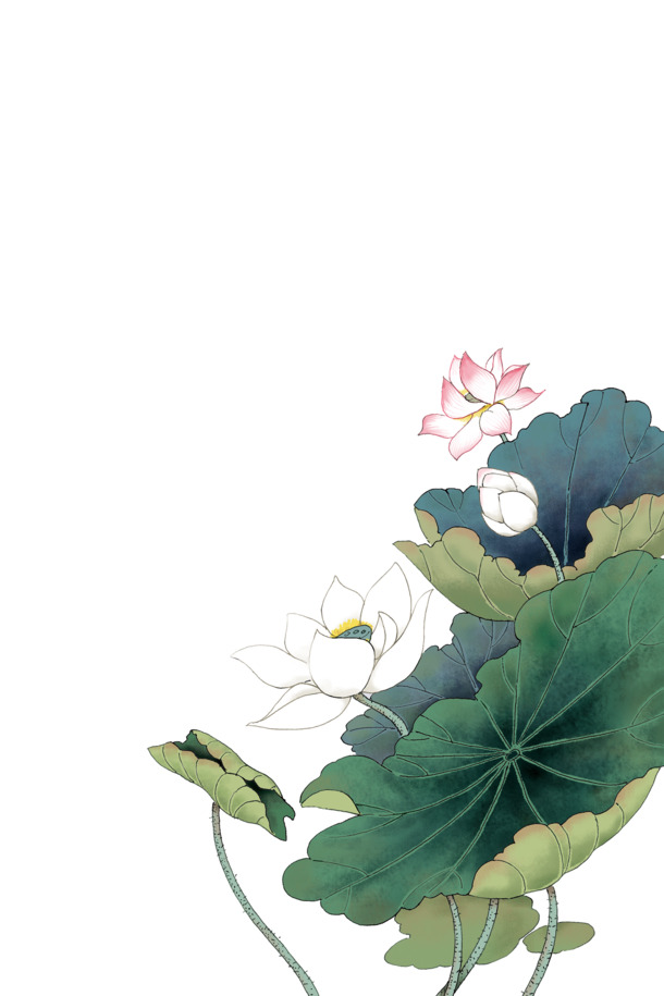中国风荷花池塘PNG透明图，高清装饰元素，设计素材随心下