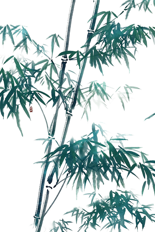 手绘植物PNG透明图，高清装饰元素，设计素材下载