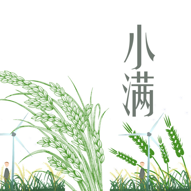 清新小满节气海报，绿色风格PNG透明图，PSD素材免费下载