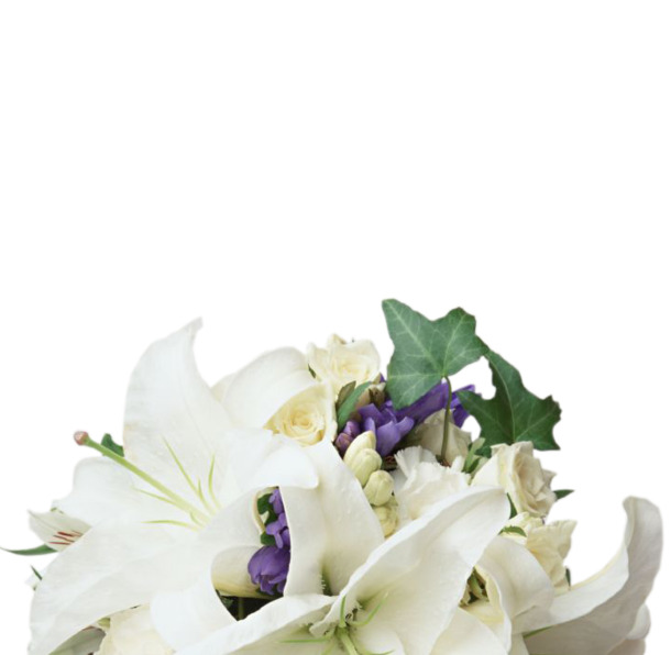 清新白百合花束PNG透明图片，高清植物装饰元素，设计素材免费下载