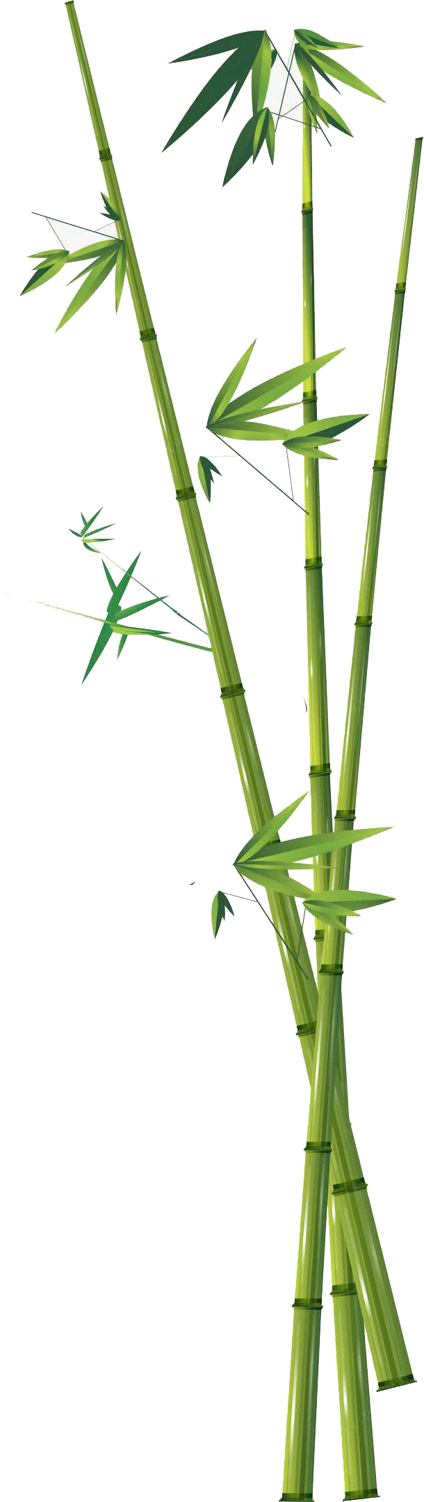 高清竹叶竹子PNG透明图，动植物元素植物图片素材免费下载