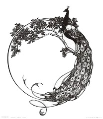 凤凰精选，高清PNG透明动物图片素材，创意装饰元素免费下载