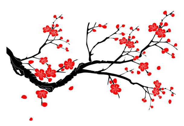 梅花绽放美景，高清PNG透明图片，植物装饰元素，设计素材下载