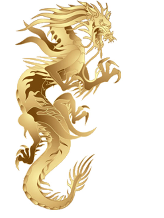 金色龙纹浮雕边框PNG透明图片，高清花纹装饰元素设计素材下载