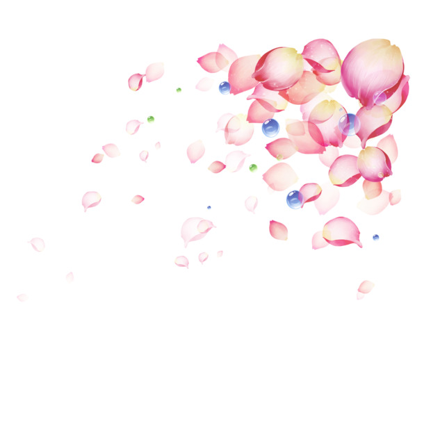 漂浮粉红花瓣PNG透明图，高清素材，创意花瓣元素设计下载