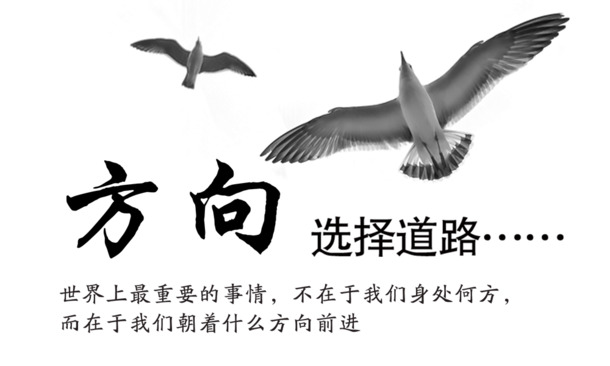 动物装饰元素PNG透明图，高清PSD设计素材免费下载