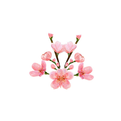 粉色花朵PNG透明图片，高清漂浮花瓣素材，免费下载