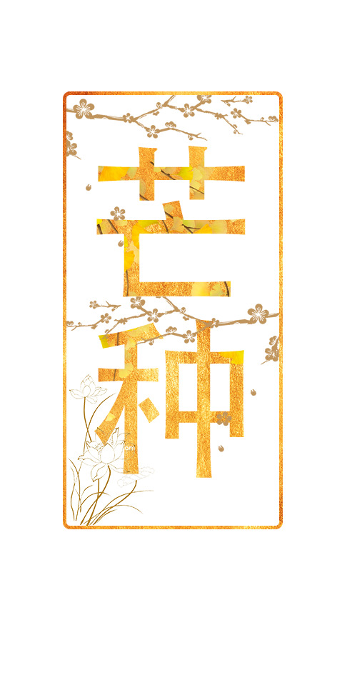 24节气芒种PNG透明图片，节日元素及设计素材下载