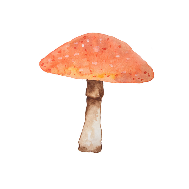 水彩蘑菇手绘，高清PNG透明素材，卡通手绘元素PSD设计下载