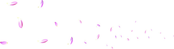唯美花瓣底纹图案PNG透明素材，高清漂浮元素设计下载