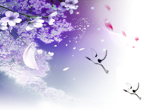 落花白鹤PNG透明素材，高清漂浮花瓣图片设计，免费下载