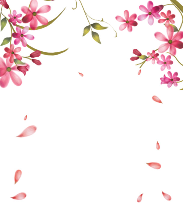 高清PNG透明飘落花瓣图片，漂浮元素设计素材，免费下载