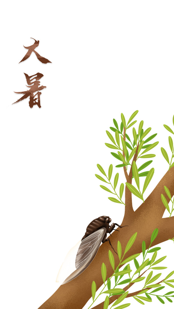 大暑盛夏树枝知了鸟手绘卡通PNG透明图，PSD设计素材免费下载