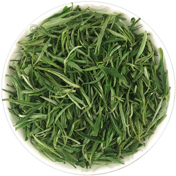 黄山毛峰茶叶高清PNG，清香植物元素设计素材下载