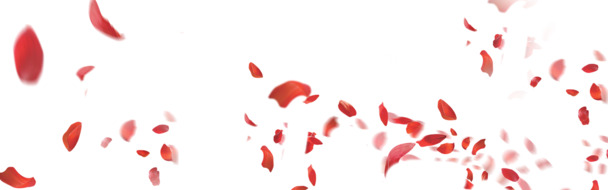 花瓣PNG透明素材，高清漂浮元素设计图库，免费下载