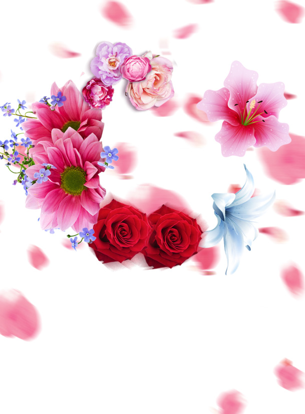 花纹背景PNG素材，高清透明花瓣漂浮元素，免费下载设计图库