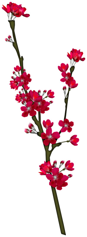 高清PNG透明花枝花瓣图片，红花朵树漂浮元素，设计素材免费下载