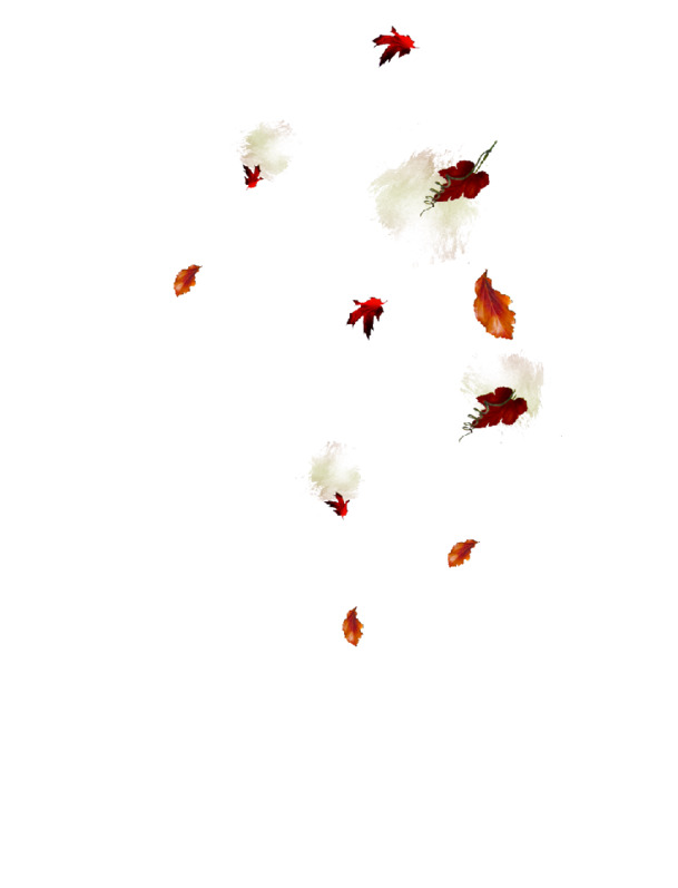 高清PNG透明花朵图片，优雅飘落，叶子漂浮元素，设计素材下载