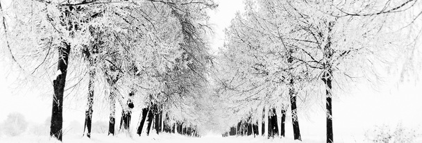 淘宝冬季羽绒服雪景透明PNG图片素材，高清Banner海报设计元素下载