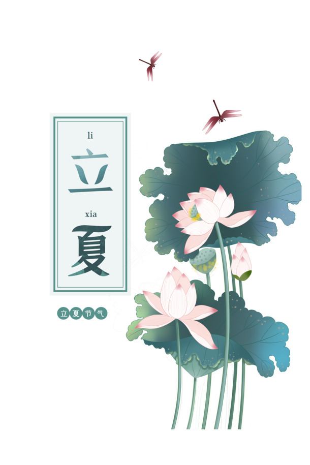 立夏节气手绘，荷花蜻蜓元素PNG/PSD透明图，卡通风格，高清下载