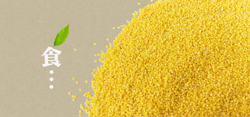 日系清新文艺小米食品，农家五谷杂粮黄小米，高清JPG图片素材下载