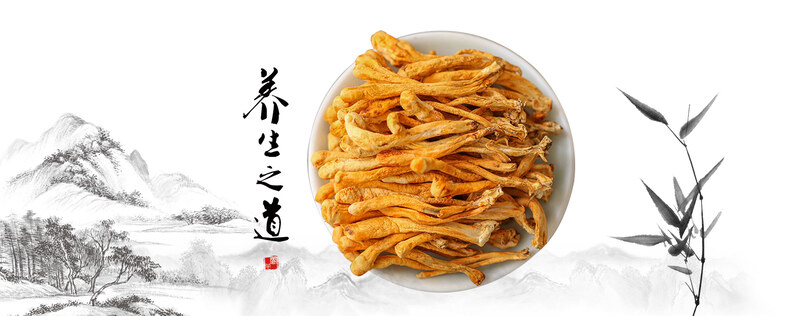 中国风养生中药虫草花背景图，复古高清JPG与PSD设计素材下载