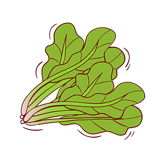 菠菜插画PNG透明图，高清装饰元素，植物图片设计素材下载