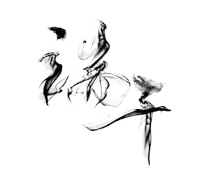 端午佳节艺术字PNG透明图，高清节日元素，设计素材免费下载