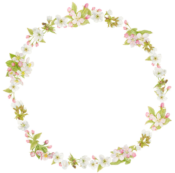 花草边框PNG透明图，高清装饰元素，设计素材免费下载