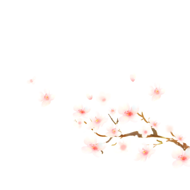 桃花装饰PNG透明图片，漂浮花瓣元素，高清设计素材免费下载