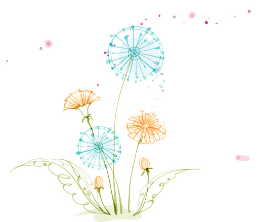 蒲公英花卉PNG透明图，高清装饰元素，AI格式设计素材下载