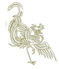 凤凰精选，高清PNG透明花瓣漂浮元素，PSD格式设计素材下载